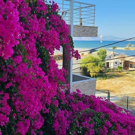 Begonvil Otel Çeşme Exteriör bild