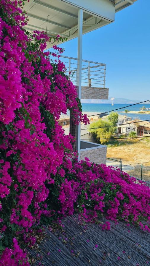 Begonvil Otel Çeşme Exteriör bild