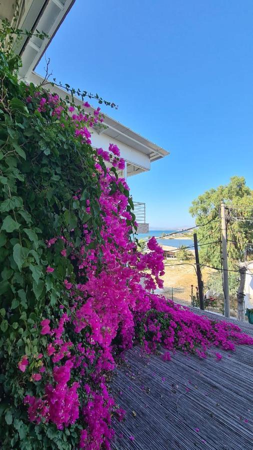 Begonvil Otel Çeşme Exteriör bild